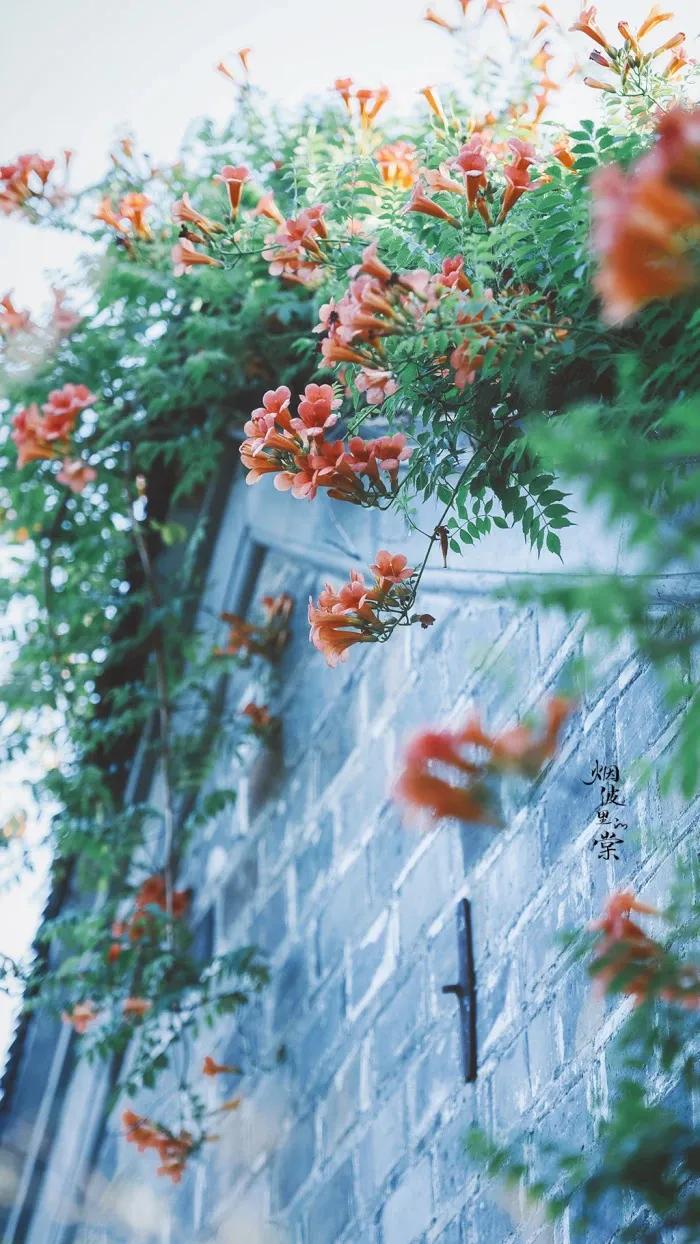 壁纸分享来点养眼的吧,励志文案壁纸超清全面屏