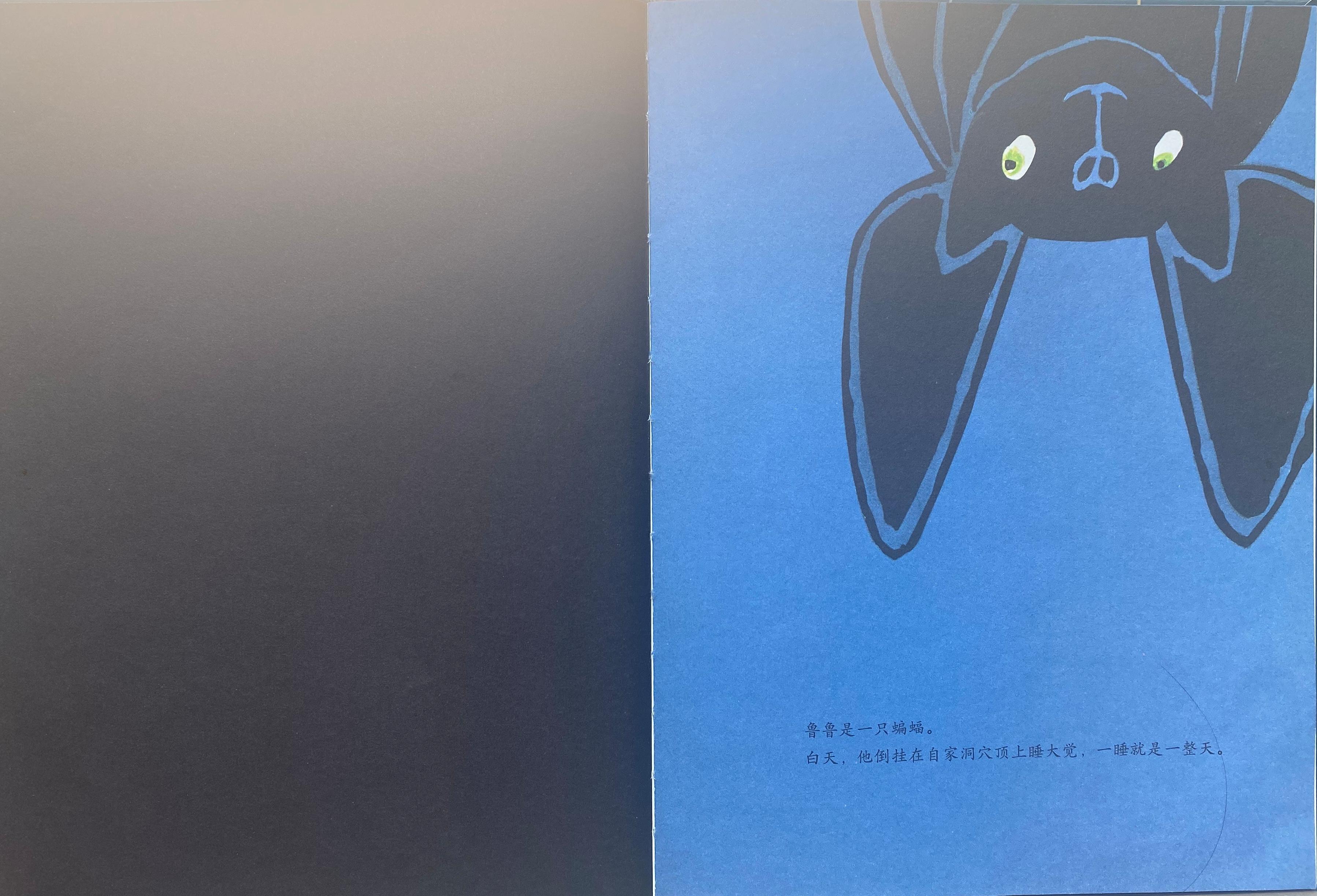 绘本解析｜《爱色彩的蝙蝠》：世界多彩，平凡的你一样可以做自己