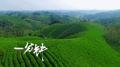 中国十大养老宜居城市,最宜居的十个养老城市