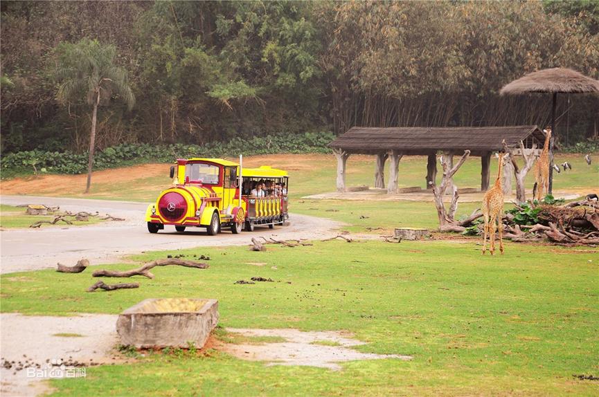 番禺长隆野生动物酒店住宿攻略,长隆野生动物世界金蛇秘境视频