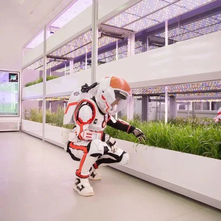 喜讯！火星1号基地被授牌为“大学生社会实践基地”！