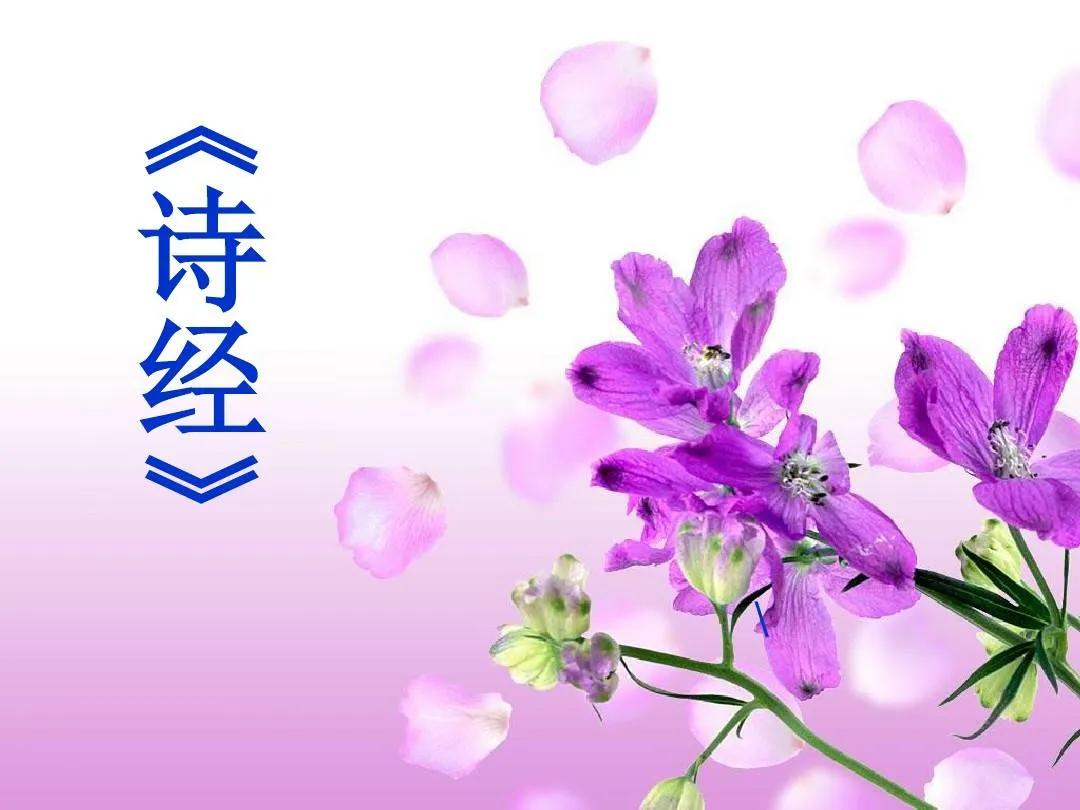 诗经名称,诗经资料简介