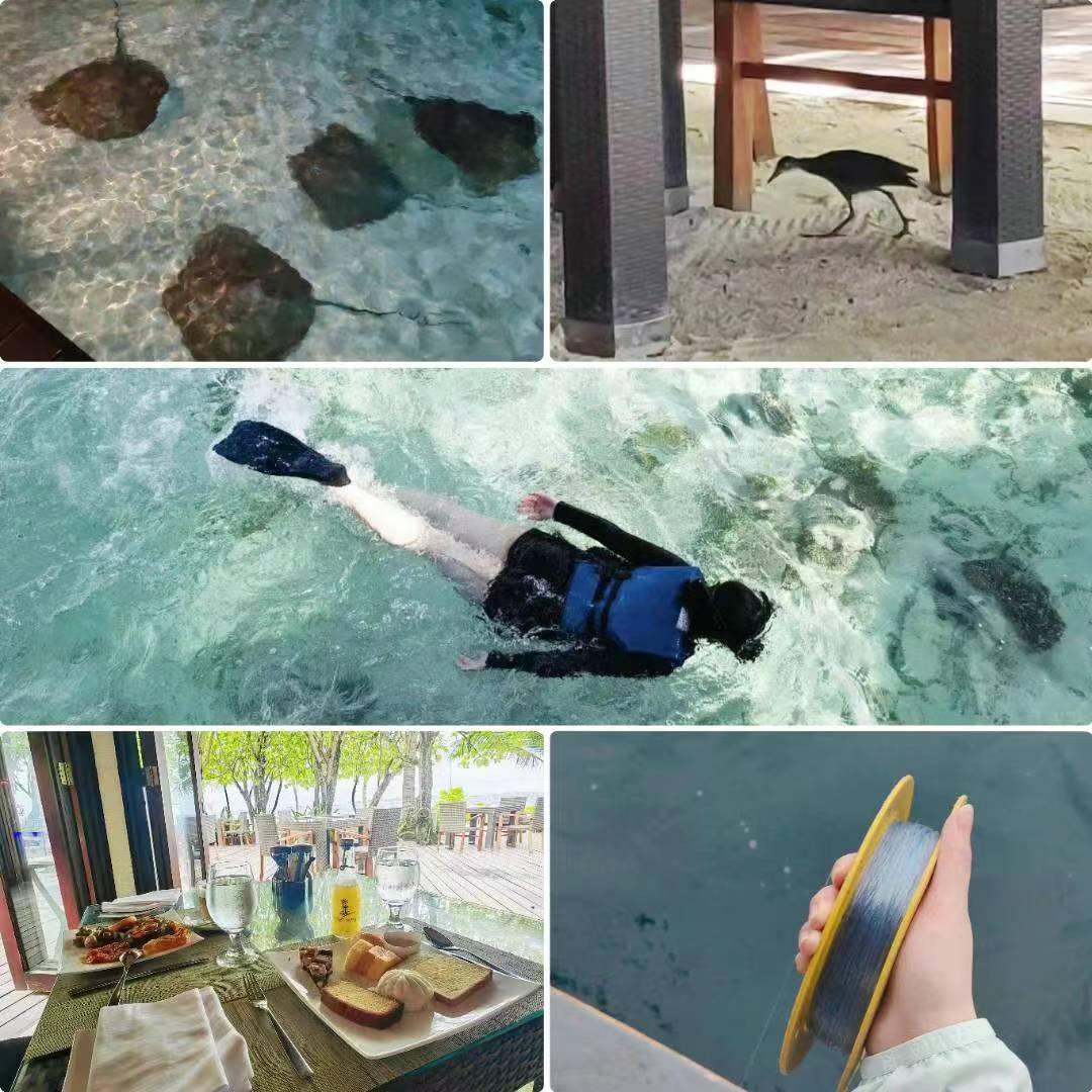 马尔代夫游记珊瑚岛蜜月,探寻马尔代夫蜜月岛的绝美景点