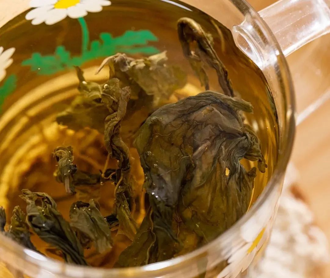 蒲公英茶能清热祛湿吗,新鲜蒲公英怎么吃才去火