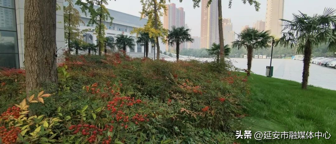 陕西宾馆迎来最佳观花赏景季节,陕西宾馆内景色