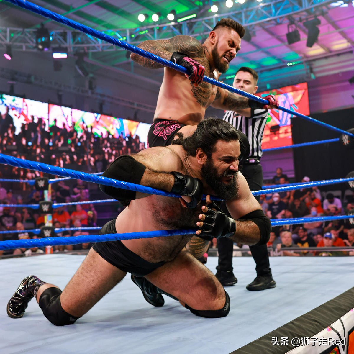 wwe第1592期,wwe2023年9月16日最新比赛视频