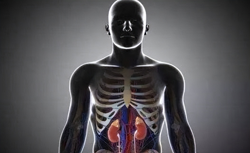 糖尿病肾病患者使用口服降糖药,治疗肾病降尿蛋白效果比较好的药