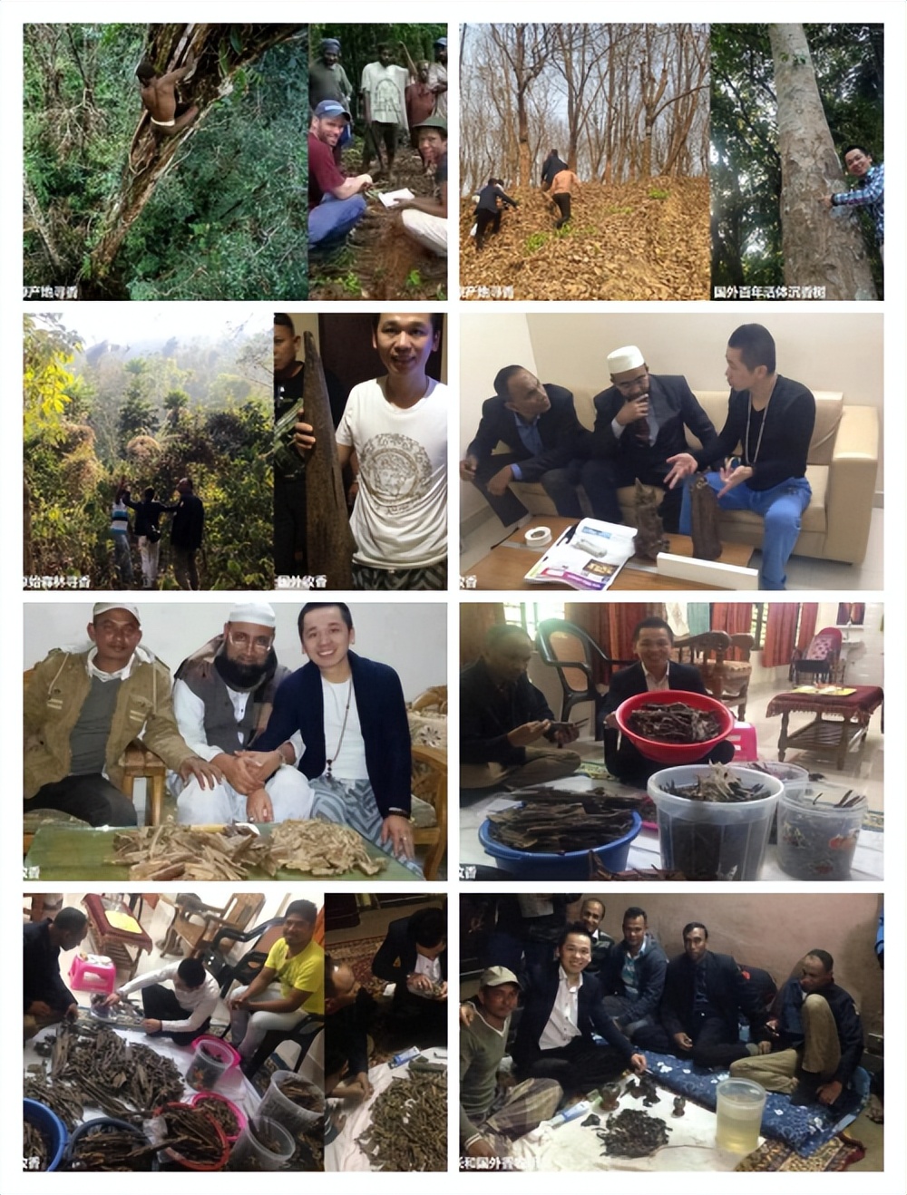 涓撲笟鐮旂┒娌夐鍏勾璧伴亶鍚勯浜у尯,閲戣棨娌夐鐢熸椿棣嗘矇棣欎粈涔堟牱