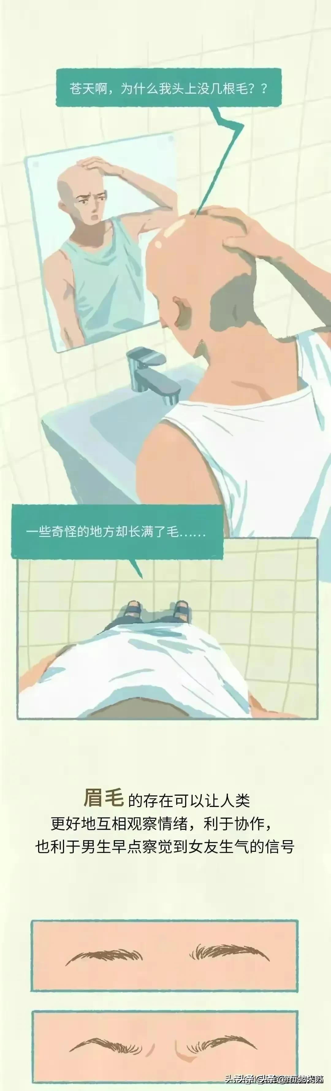 人类为何没有浓密的体毛,人类的体毛作用