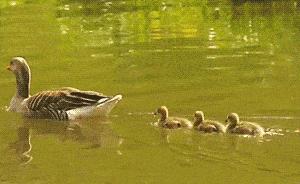 快乐秘籍经典短句,快乐宝典经典