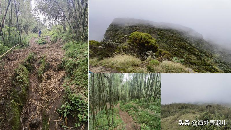 肯尼亚动物大迁徙泪流满面,肯尼亚动物大迁徙深度游