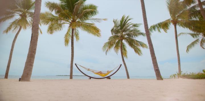 全球首家lv旗舰店,全国首家lv餐馆