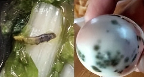 女子带3岁儿子洗药浴，不料却洗出绝症，*底卧**2年讨公道，结局如何