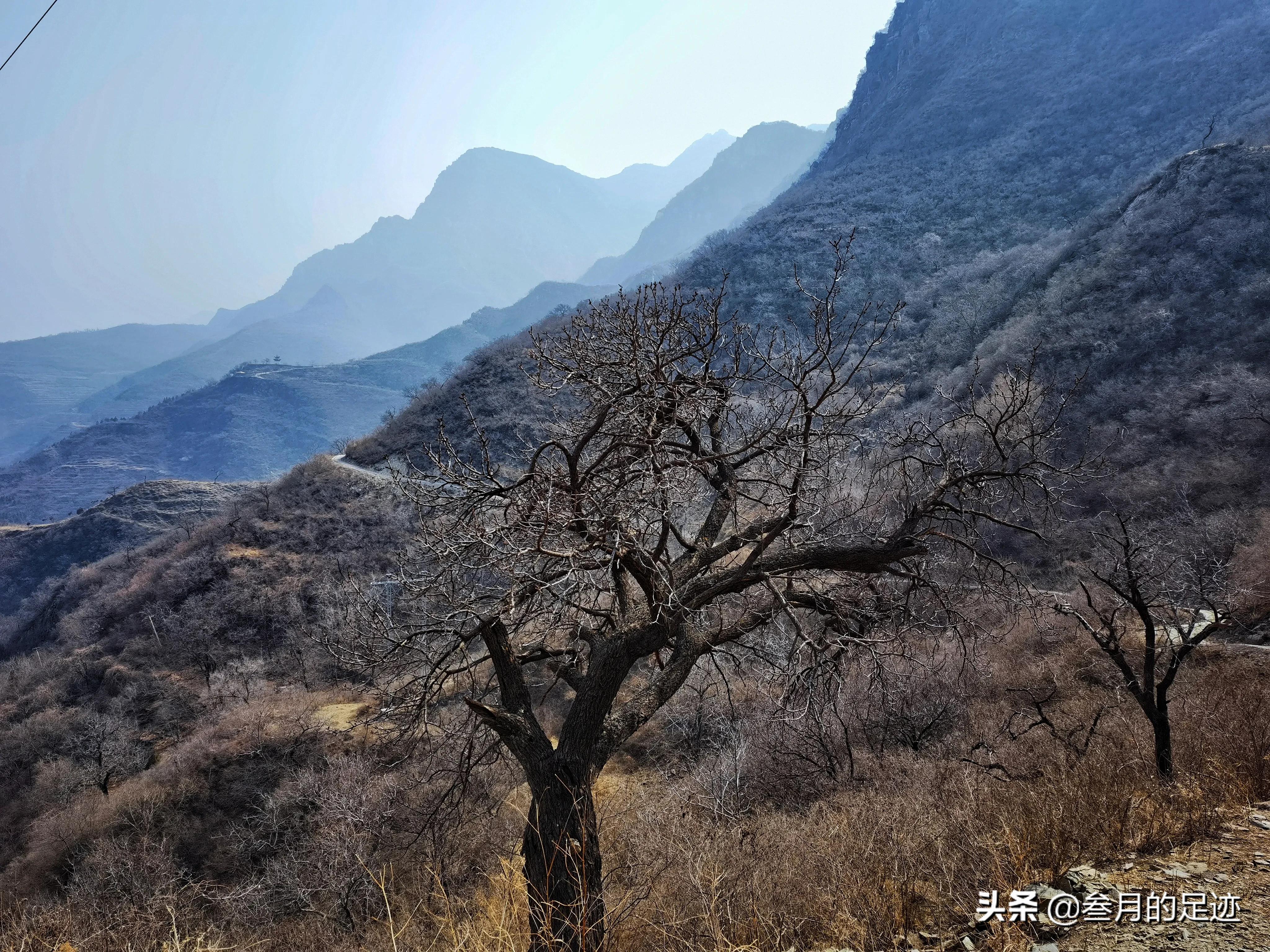 北京房山现在蒲洼梯田赏花,房山大安山梯田观景台