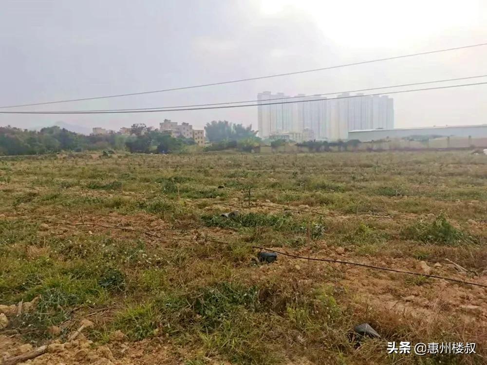 惠阳南站新城惨遭流拍,惠阳土拍流拍
