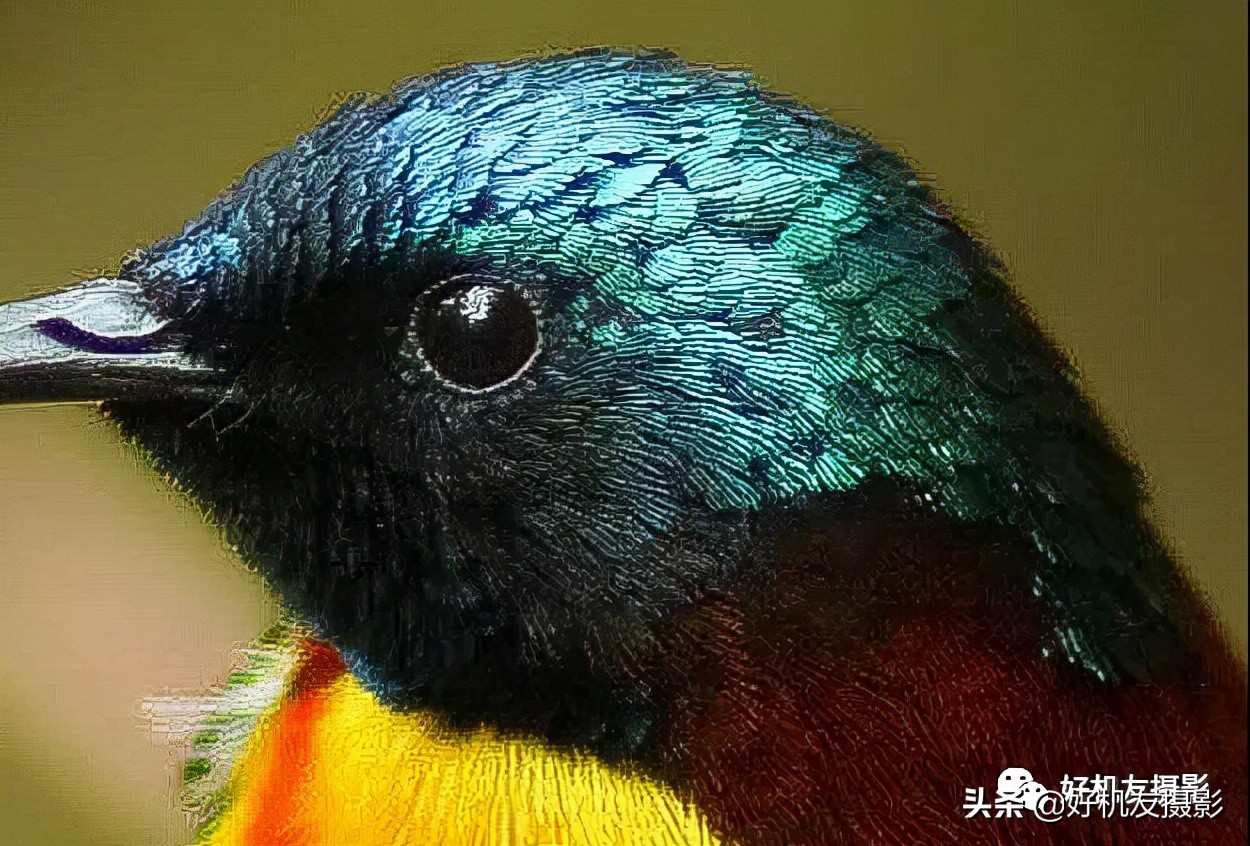 手机拍照片怎么拍出质感风景,拍的照片没有质感