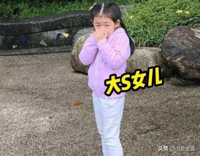 大s具俊晔结婚韩国网友怎么说,大s具俊晔夫妇最新近况曝光