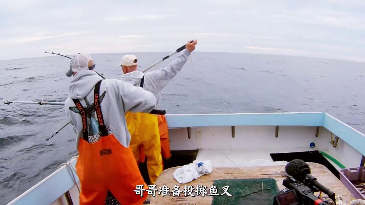 捕鱼生死斗外滩,捕鱼生死斗是什么