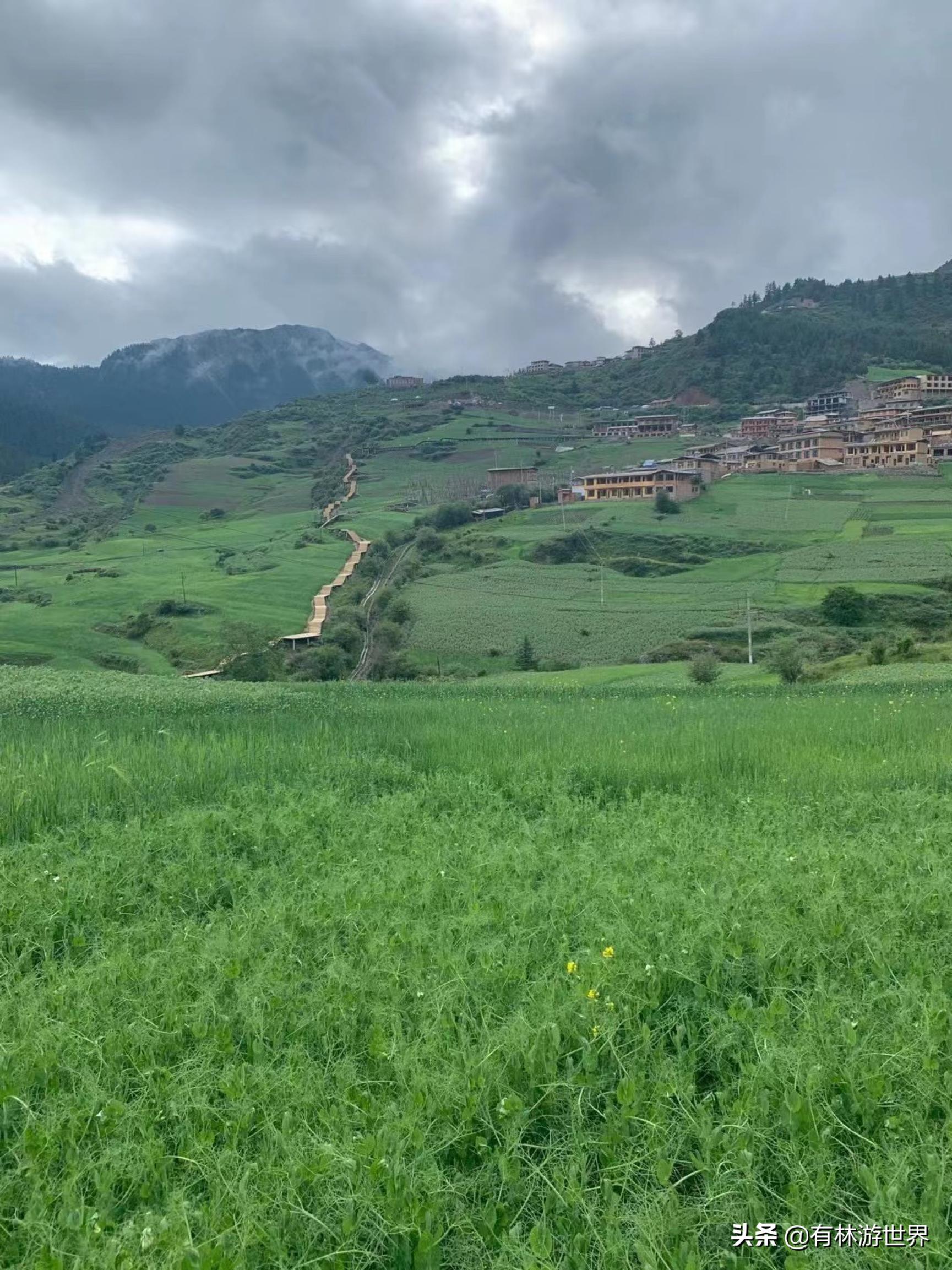 失业两年的旅游人,一个失业在家的旅游业者