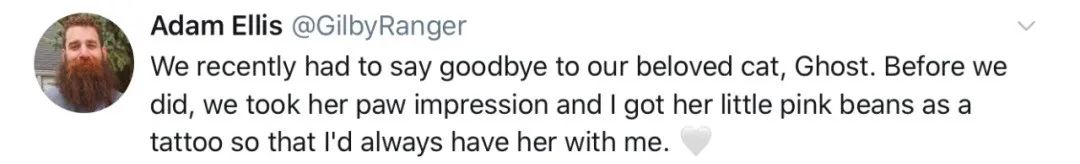 养猫的呼噜声音 (养猫呼噜的声音)