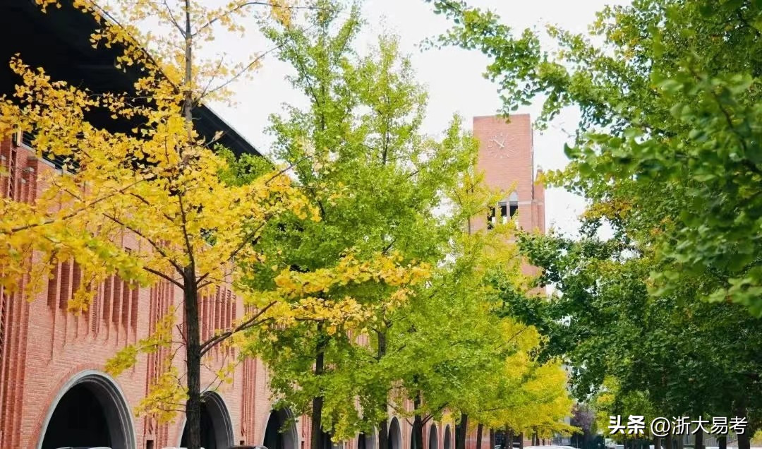 浙大mem提面通过后统考,浙江大学mem全日制要提前面试呢