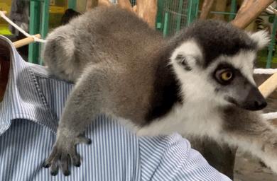 大无语事件!268元买了哈尔滨极地公园亲子票,被路人追着问了三条街!