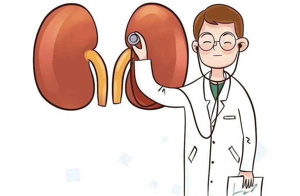 别让万物复苏的时节，成为尿路结石的“春天”！