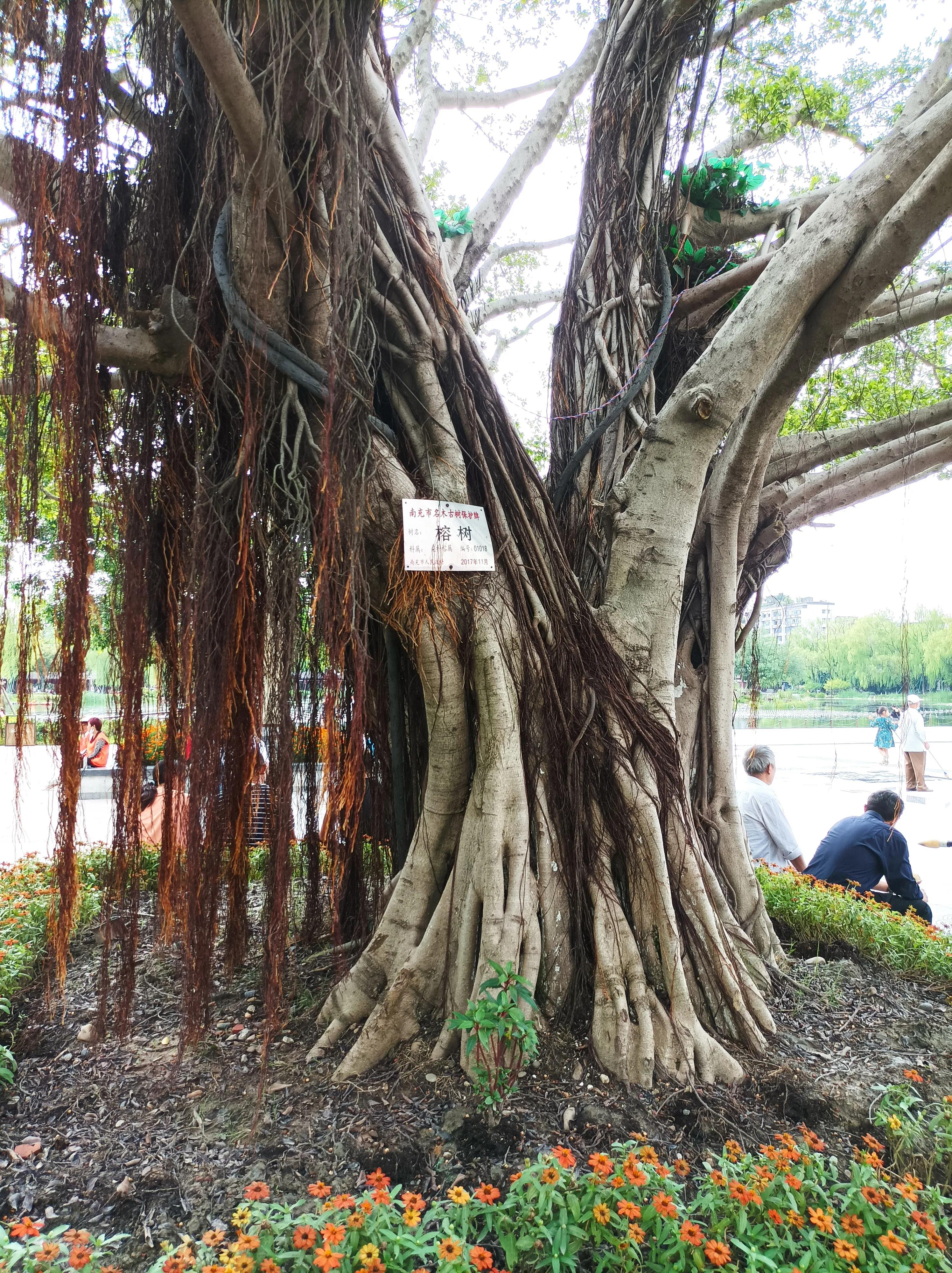 出游感悟,出游快乐的心灵感悟