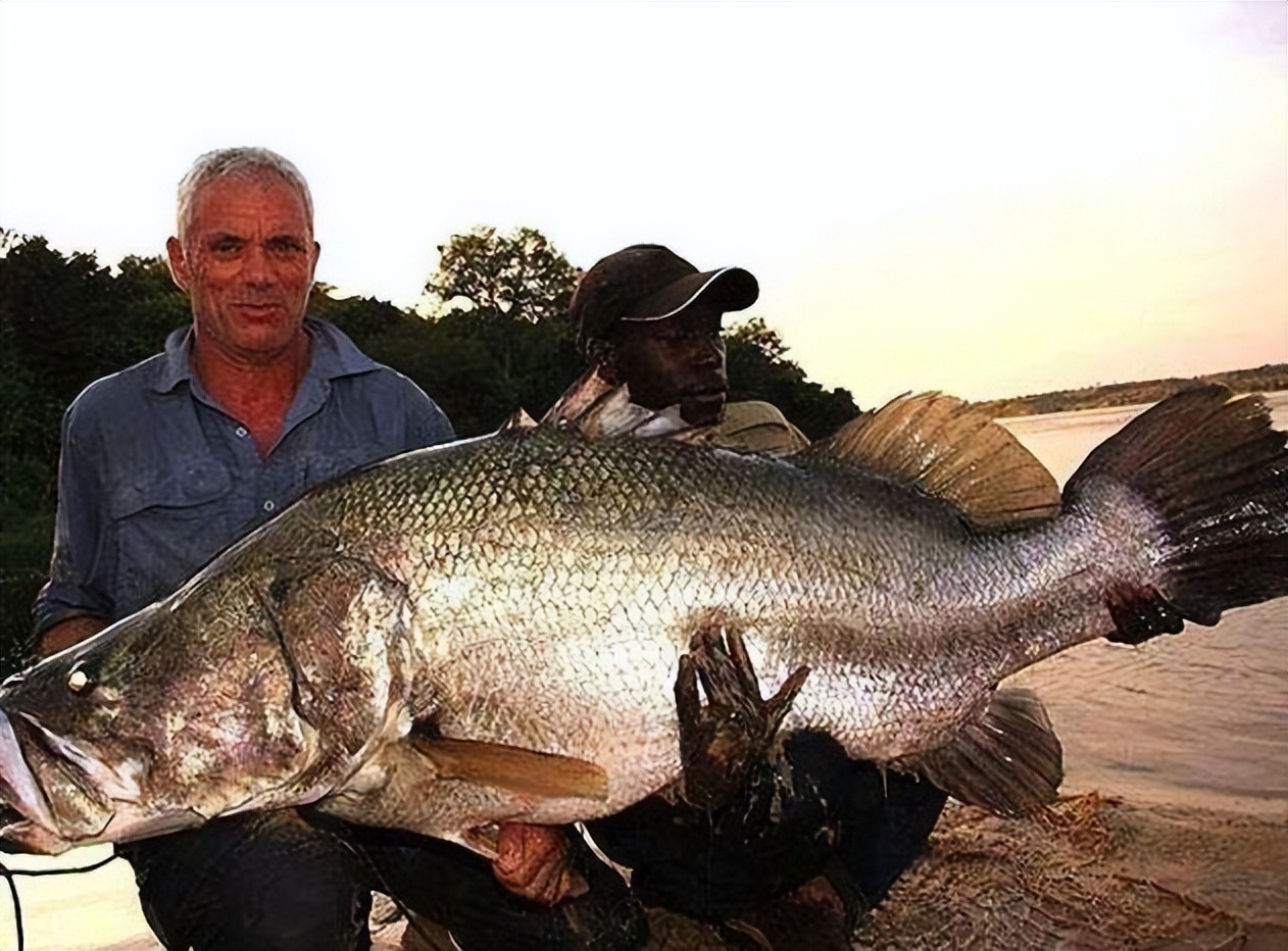 世界上最拥挤的岛是哪个国家,全世界最拥挤岛屿