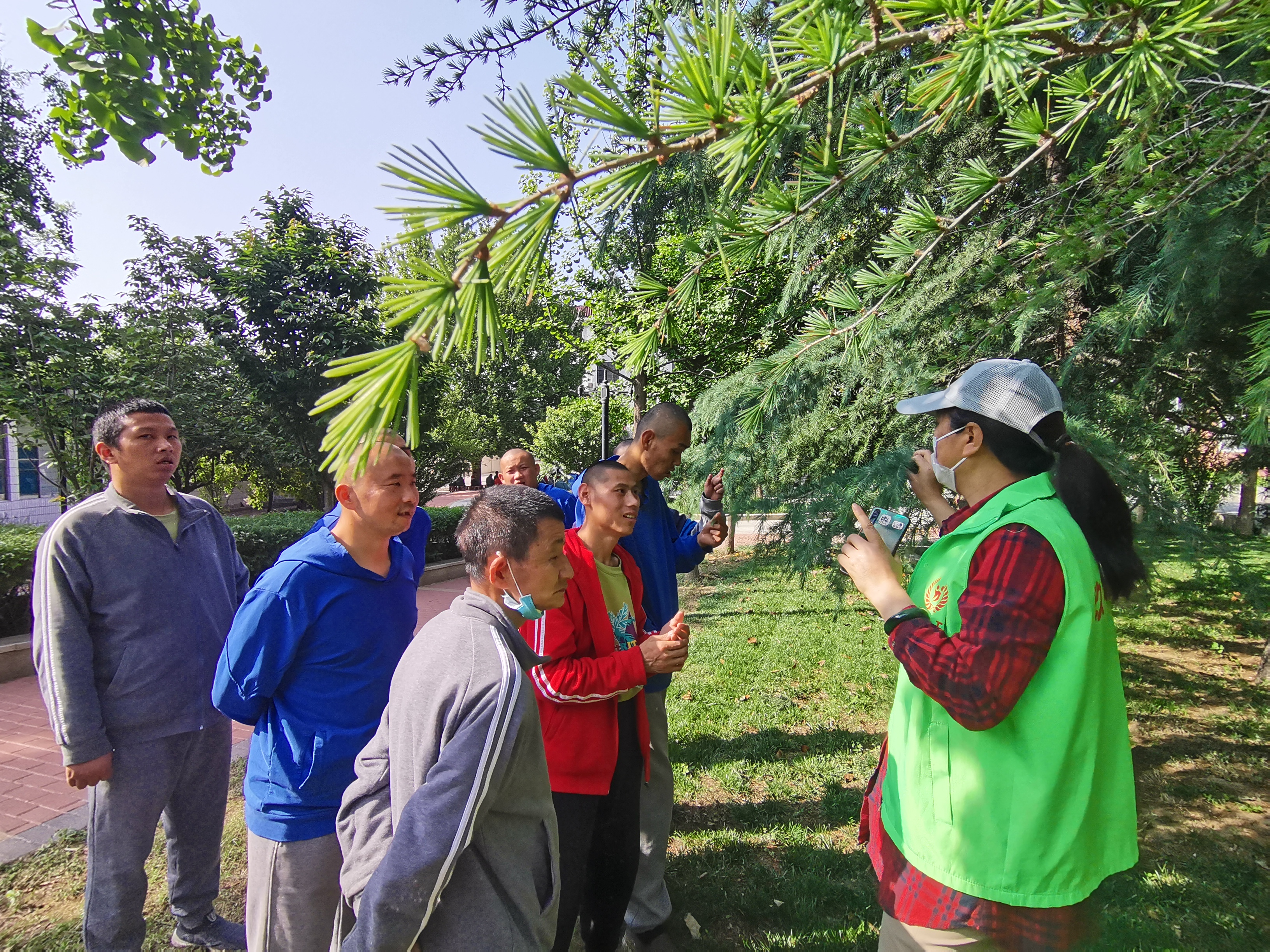 游园苗木绿化,有趣的植物户外活动