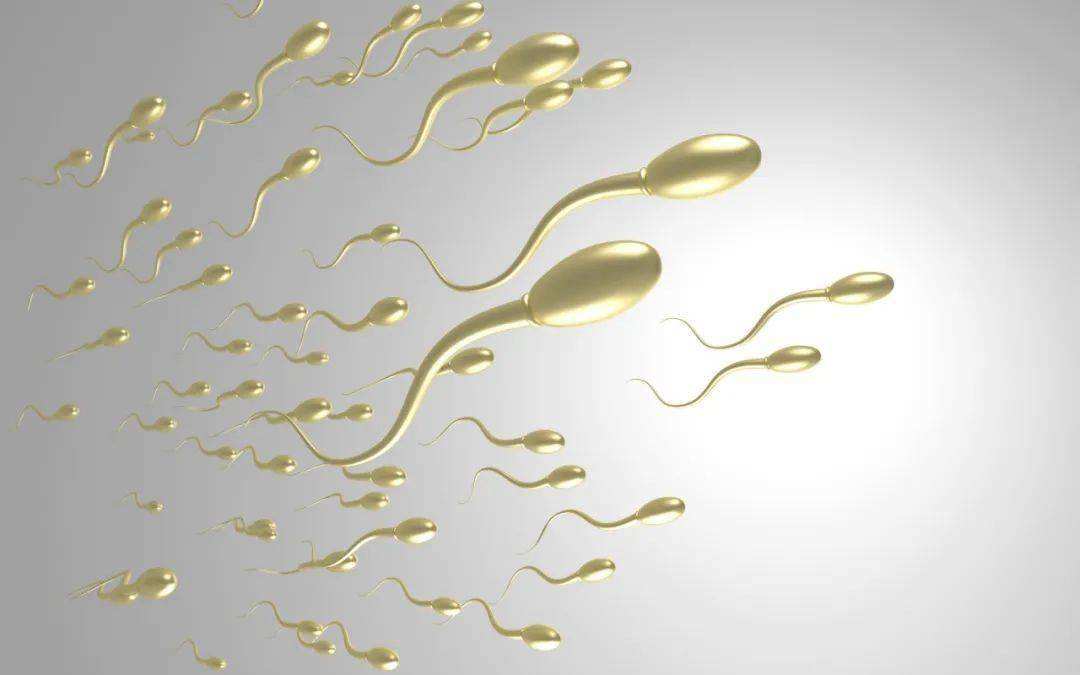 卵子也会偏爱一个男人吗,人类卵子对某些精子情有独钟