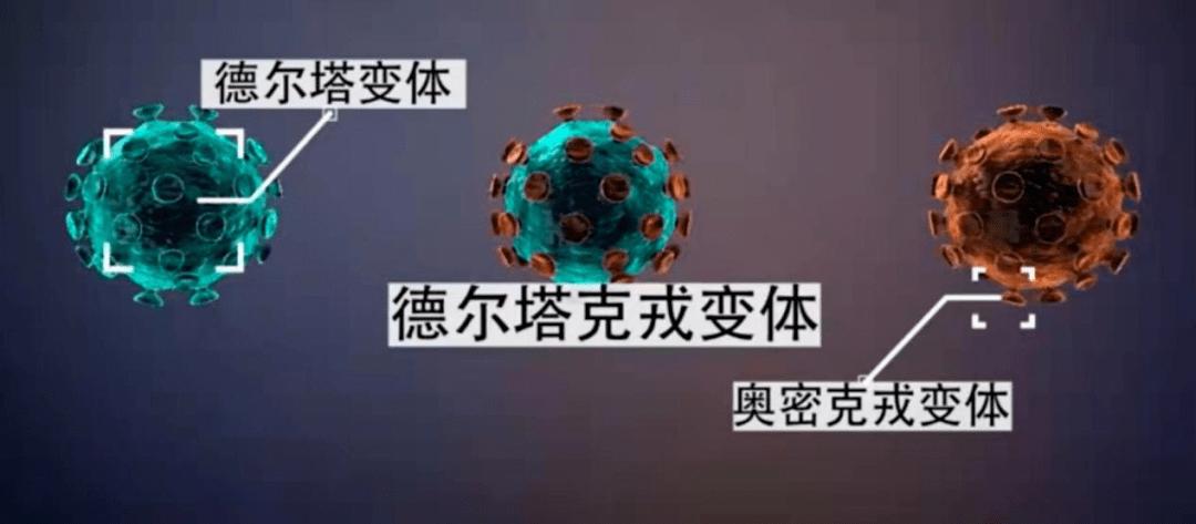 咬文嚼字公布2019年十大语文差错,咬文嚼字2021年十大语文差错评价