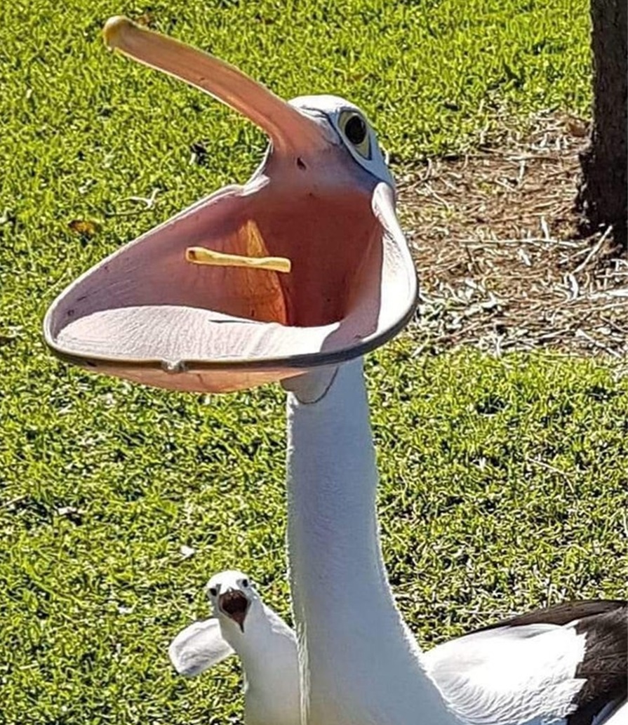 缇庡浗濂充汉閫夌編鍥剧墖,缇庡浗濂充汉鏈嶈姣旇禌