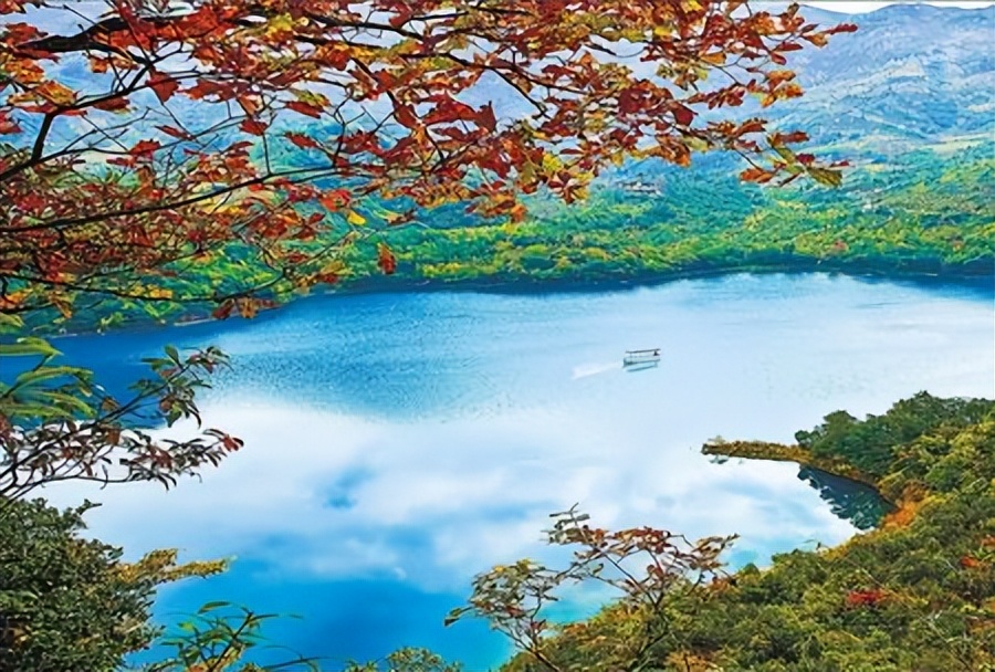 陇南高质量发展,陇南市绿色发展