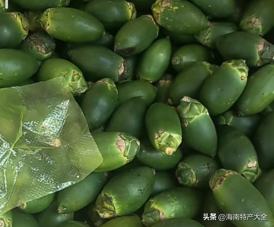 2021年2月3日海南槟榔价格 (2021海南槟榔生果价格)