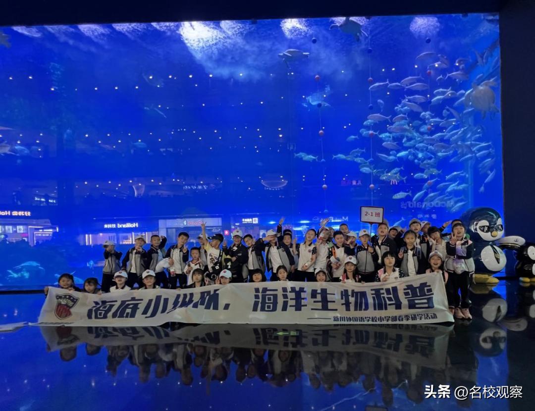 蔚蓝做苍穹，鱼儿变繁星！新川学子，走进浩海立方，探秘无限海洋