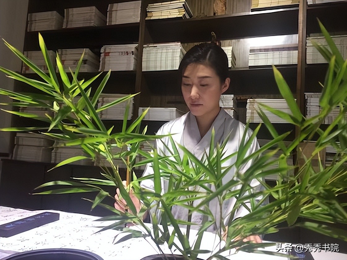 秀秀茶艺培训中心评论,秀秀茶艺班