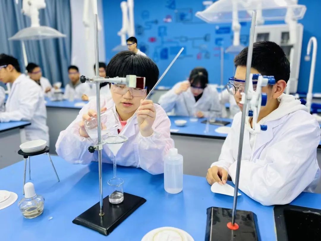 中加枫华国际学校多少分可以上,枫华国际学校2021年招生普通高中