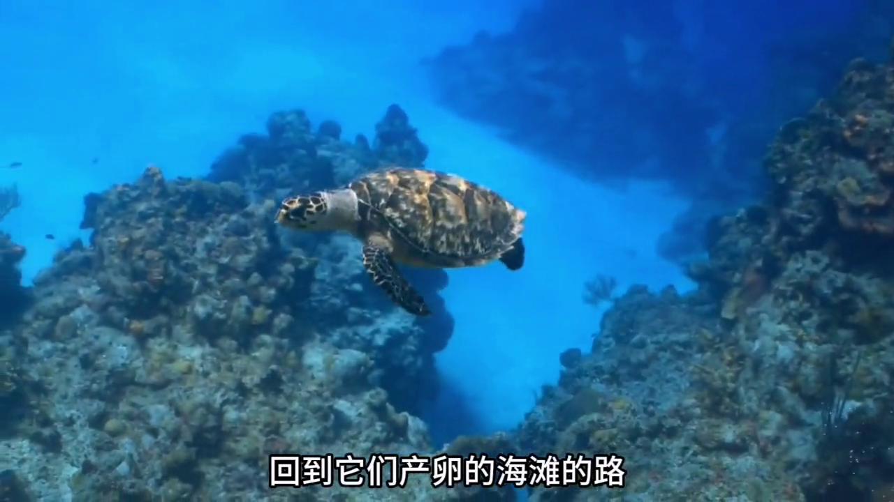 地球内核停止转动会有什么后果,如果地球内核冷却会怎么样