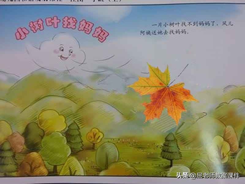 小树叶找妈妈小班备课,小班绘本小树叶找妈妈教案