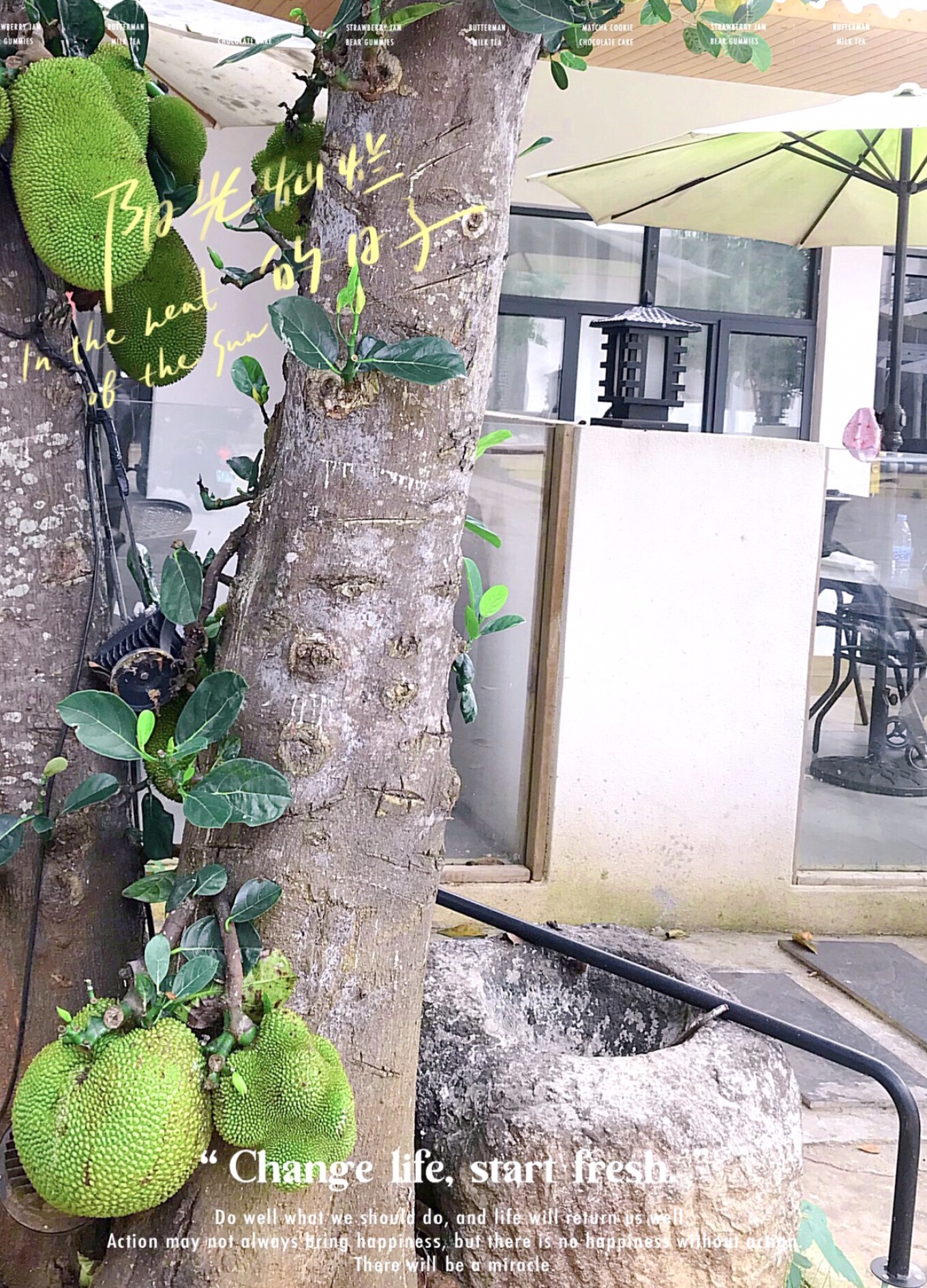 带你玩转北海涠洲岛最全攻略,带你去看海涠洲岛3天2晚行程推荐