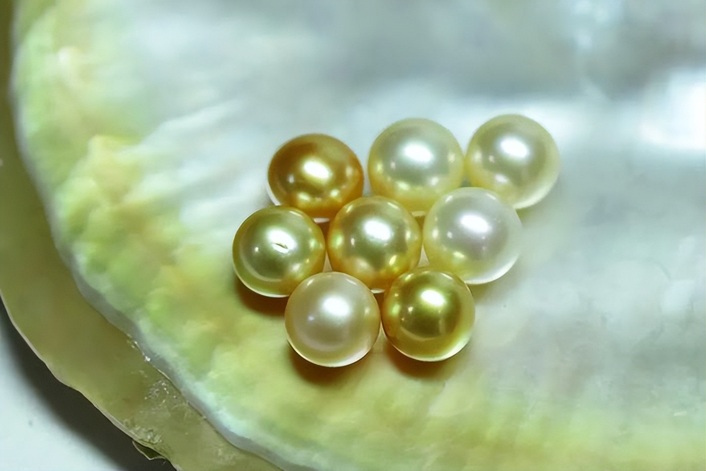 南洋金珠属于珍珠什么级别,鉴定书南洋金珠是不是海水珍珠