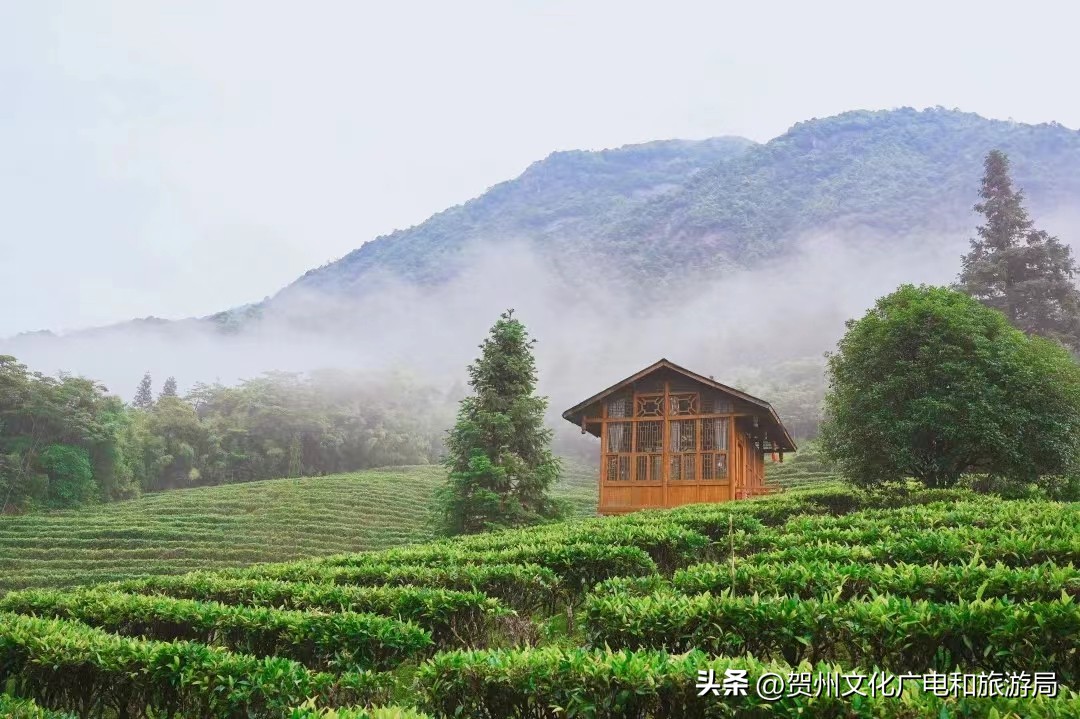 广西贺州姑婆山旅游区,广西贺州姑婆山景区在哪里