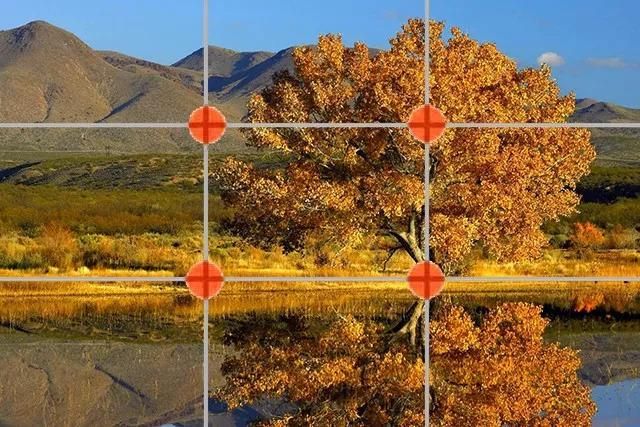 手机摄影拍照技巧大全,手机拍照技巧拍出的照片真实