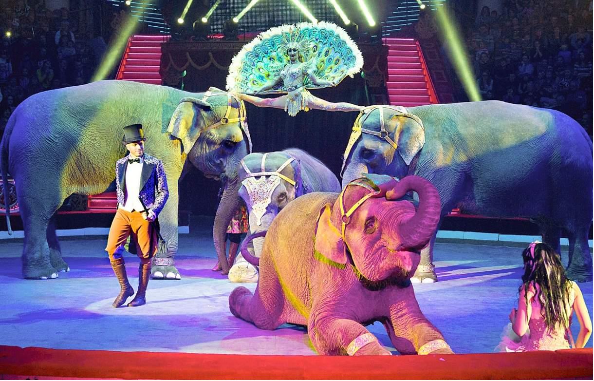 俄罗斯国粹国家大马戏,俄罗斯国粹芭蕾舞