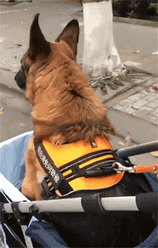 汶川地震搜救的事件,汶川地震惨烈救援人员回忆哭了