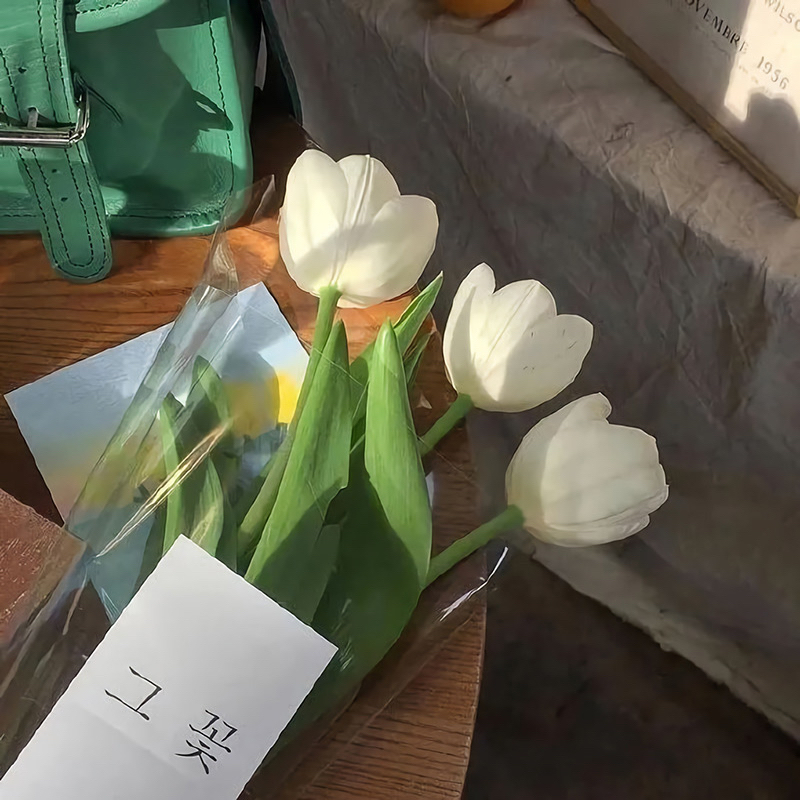 正清园网文小说项目靠谱吗 (正清园小说靠谱吗)