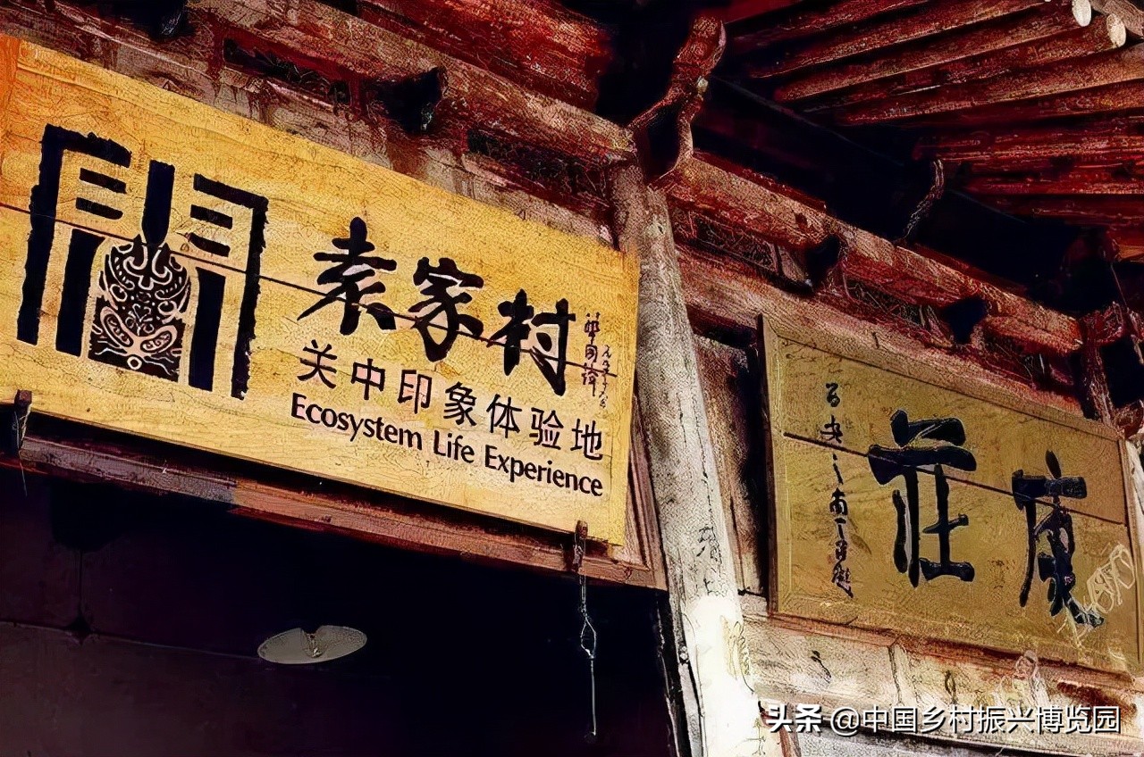 全国高校乡村振兴活动案例,乡村振兴巾帼行动优秀案例