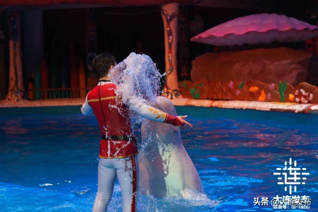 最新旅游景区发展,杭州大明山风景区五一攻略