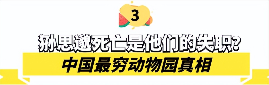 中国最大无人动物园,中国十大动物园红山动物园